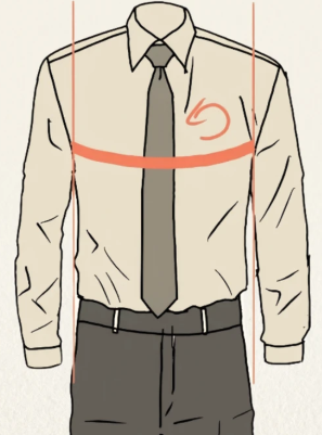 #6 Bust / Chest