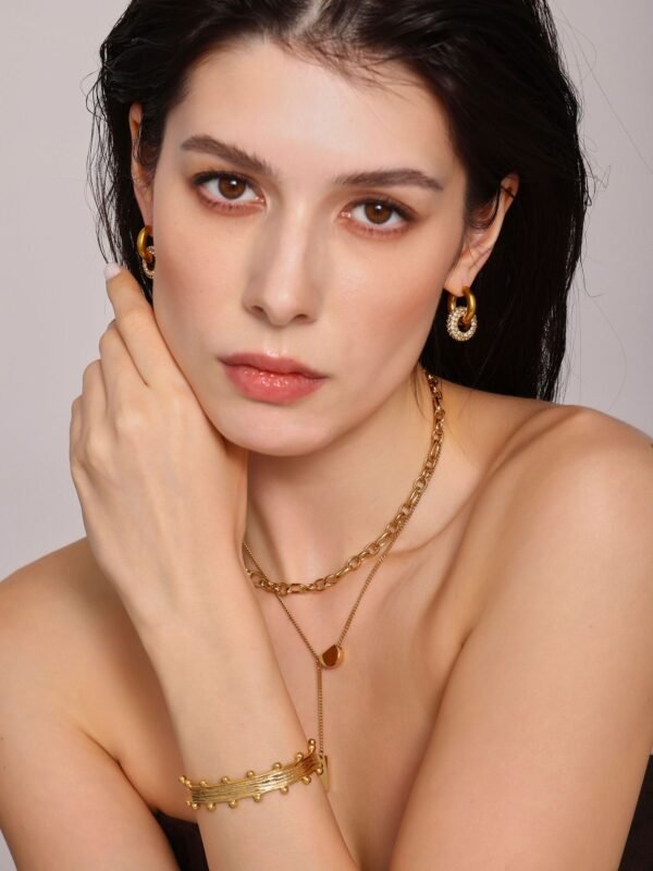 Ring zircon two-wear double circle niche design earrings - Image 2